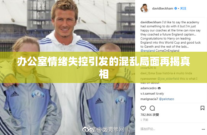 办公室情绪失控引发的混乱局面再揭真相