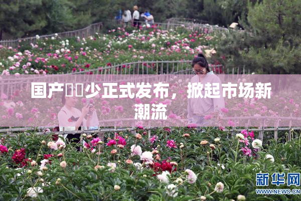 国产❌‌少正式发布，掀起市场新潮流