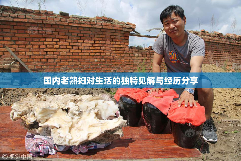 国内老熟妇对生活的独特见解与经历分享