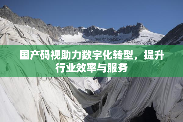 国产码视助力数字化转型，提升行业效率与服务