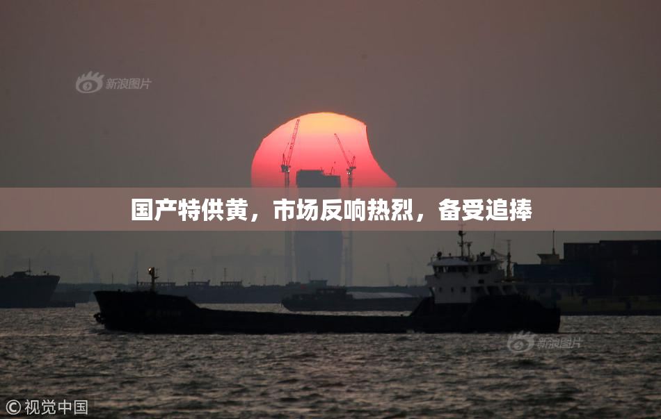 国产特供黄，市场反响热烈，备受追捧