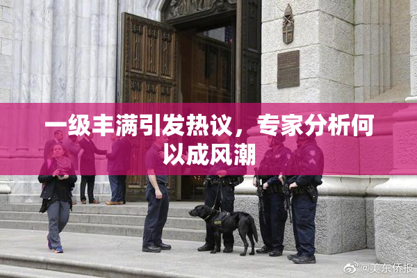 一级丰满引发热议，专家分析何以成风潮