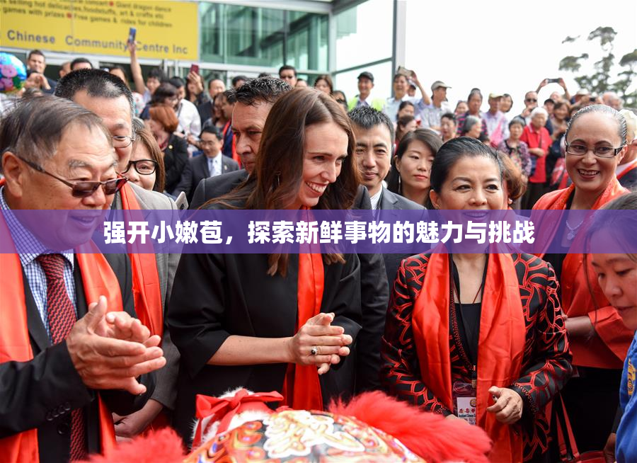 强开小嫩苞，探索新鲜事物的魅力与挑战
