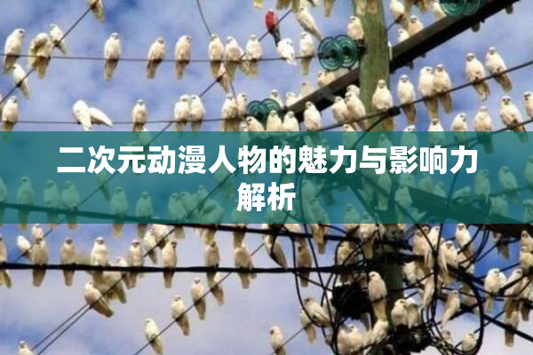 二次元动漫人物的魅力与影响力解析