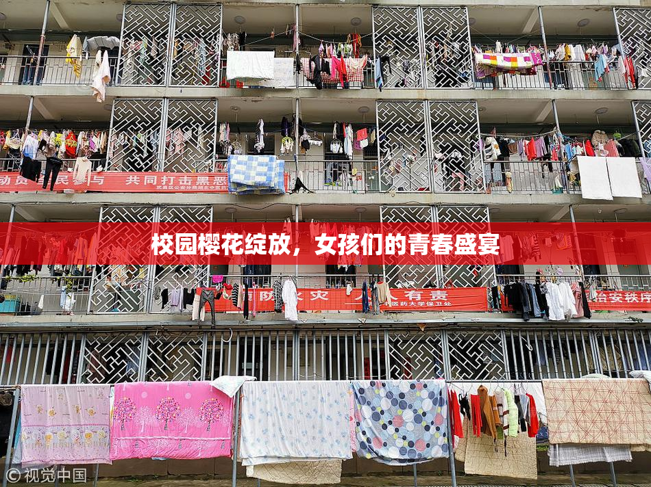 校园樱花绽放，女孩们的青春盛宴