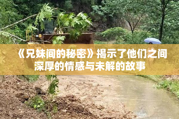《兄妹间的秘密》揭示了他们之间深厚的情感与未解的故事