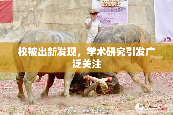 校被出新发现，学术研究引发广泛关注