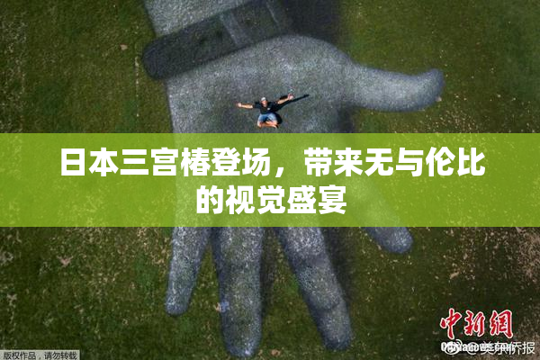 日本三宫椿登场，带来无与伦比的视觉盛宴