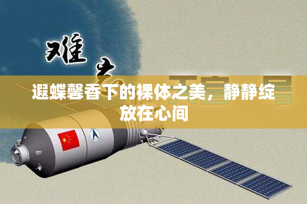 遐蝶馨香下的裸体之美，静静绽放在心间
