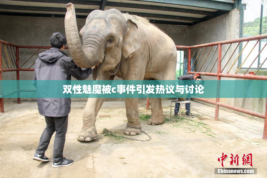 双性魅魔被c事件引发热议与讨论