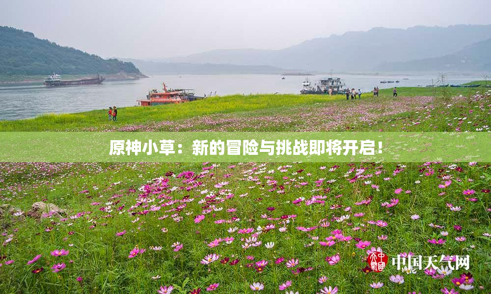 原神小草：新的冒险与挑战即将开启！