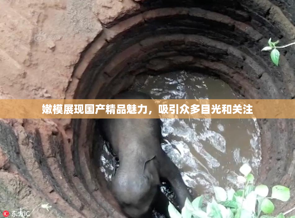 嫩模展现国产精品魅力，吸引众多目光和关注