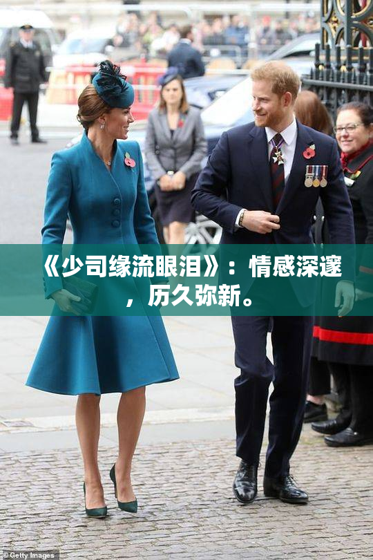 《少司缘流眼泪》：情感深邃，历久弥新。