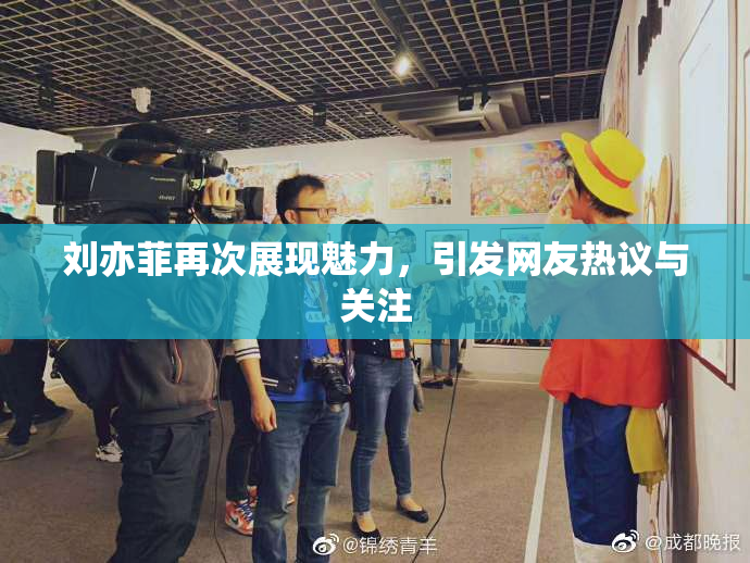 刘亦菲再次展现魅力，引发网友热议与关注