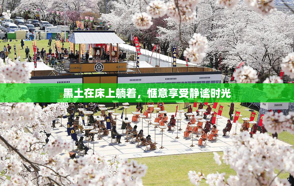 黑土在床上躺着，惬意享受静谧时光