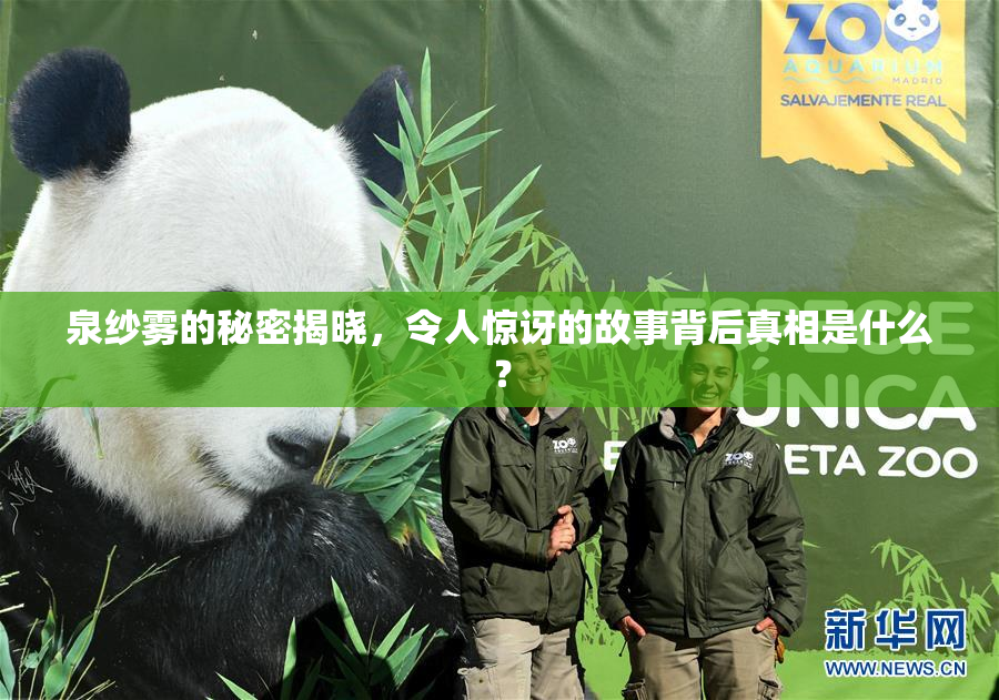 泉纱雾的秘密揭晓，令人惊讶的故事背后真相是什么？