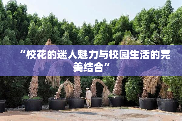 “校花的迷人魅力与校园生活的完美结合”