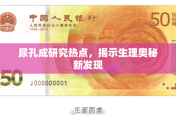 尿孔成研究热点，揭示生理奥秘新发现