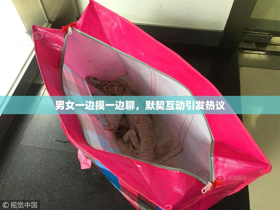 男女一边摸一边聊，默契互动引发热议