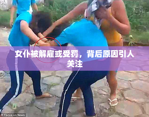 女仆被解雇或受罚，背后原因引人关注
