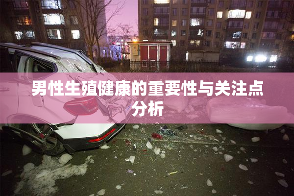 男性生殖健康的重要性与关注点分析