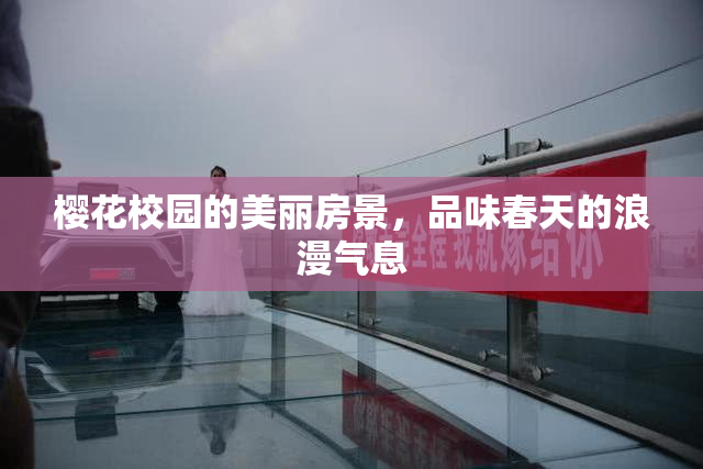 樱花校园的美丽房景，品味春天的浪漫气息