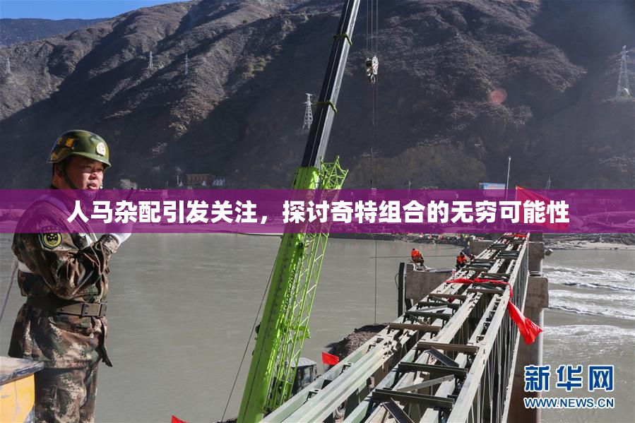 人马杂配引发关注，探讨奇特组合的无穷可能性