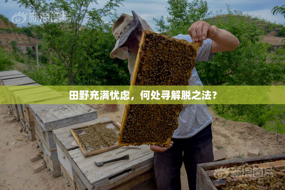 田野充满忧虑，何处寻解脱之法？