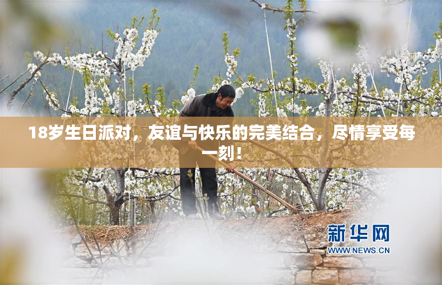 18岁生日派对，友谊与快乐的完美结合，尽情享受每一刻！