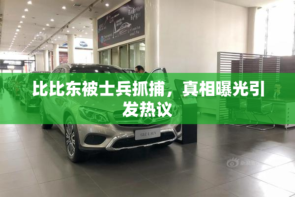 比比东被士兵抓捕，真相曝光引发热议