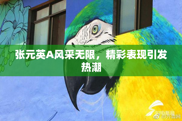 张元英A风采无限，精彩表现引发热潮