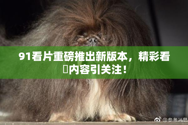 91看片重磅推出新版本，精彩看婬内容引关注！