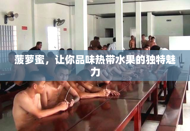 菠萝蜜，让你品味热带水果的独特魅力