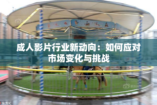 成人影片行业新动向：如何应对市场变化与挑战