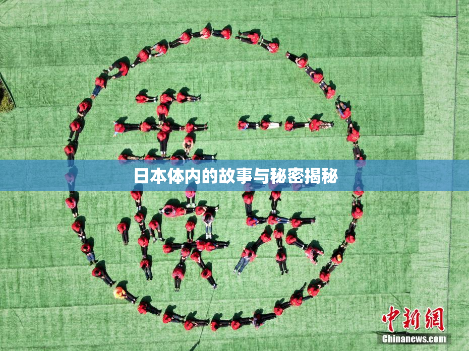 日本体内的故事与秘密揭秘