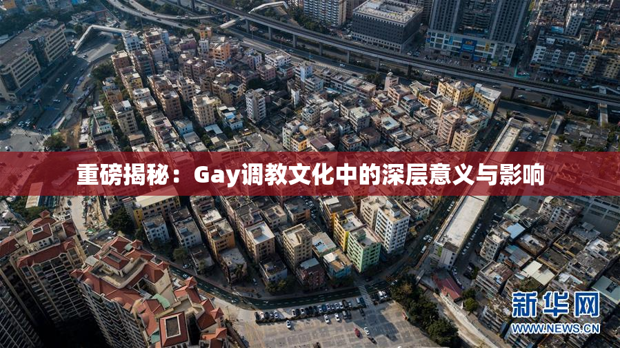 重磅揭秘：Gay调教文化中的深层意义与影响