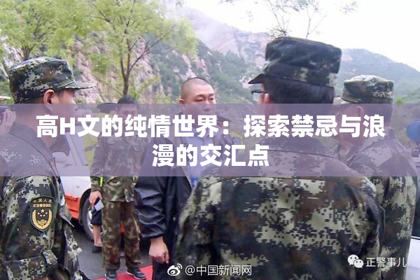 高H文的纯情世界：探索禁忌与浪漫的交汇点