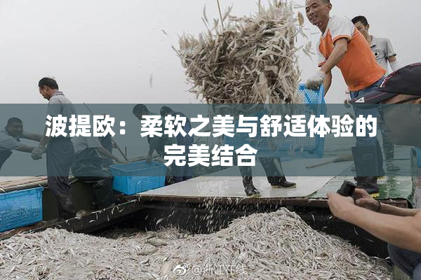 波提欧：柔软之美与舒适体验的完美结合