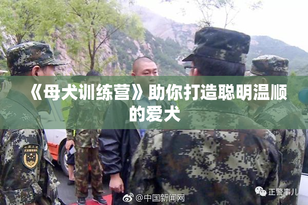 《母犬训练营》助你打造聪明温顺的爱犬