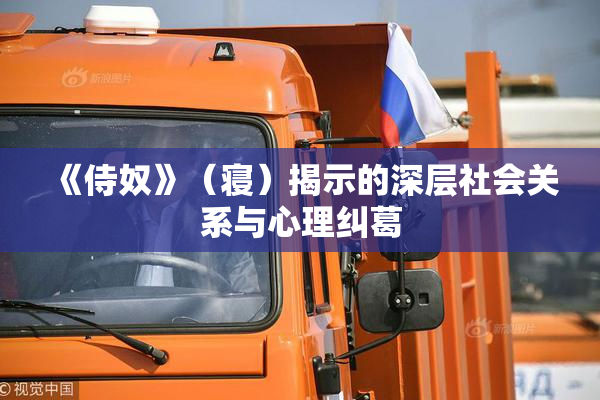 《侍奴》（寝）揭示的深层社会关系与心理纠葛