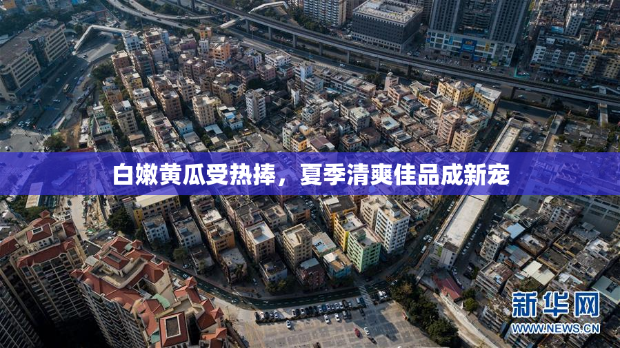 白嫩黄瓜受热捧，夏季清爽佳品成新宠