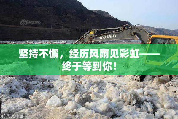 坚持不懈，经历风雨见彩虹——终于等到你！