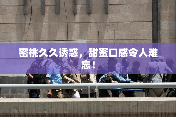 密桃久久诱惑，甜蜜口感令人难忘！