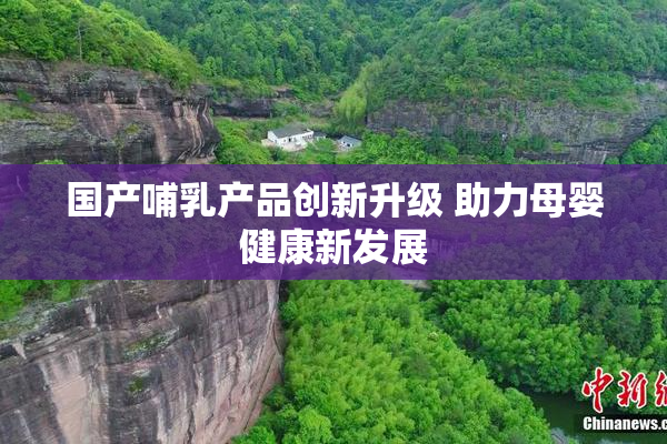国产哺乳产品创新升级 助力母婴健康新发展