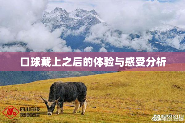 口球戴上之后的体验与感受分析