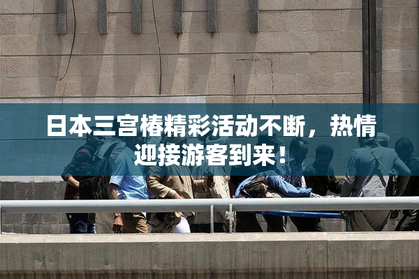 日本三宫椿精彩活动不断，热情迎接游客到来！