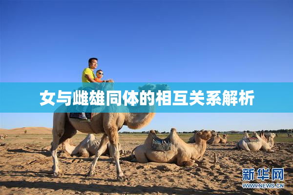 女与雌雄同体的相互关系解析