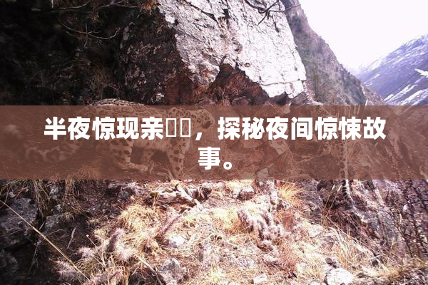 半夜惊现亲妺妺，探秘夜间惊悚故事。