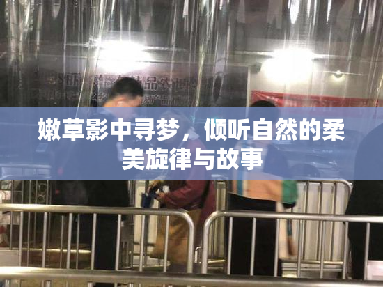 嫩草影中寻梦，倾听自然的柔美旋律与故事