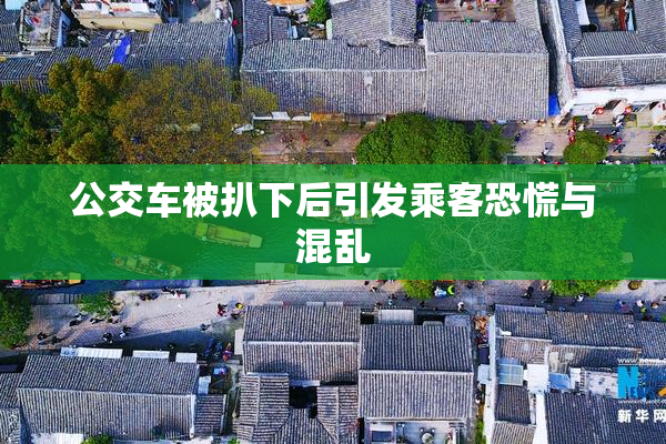 公交车被扒下后引发乘客恐慌与混乱